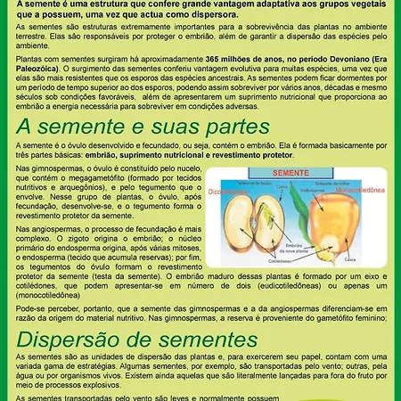 Quinta Do Castelo, Madeira Σπίτι διακοπών *