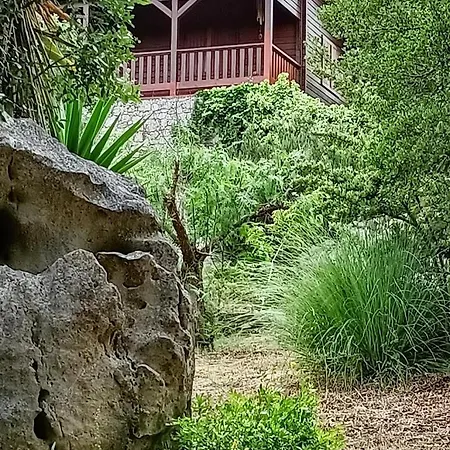 Quinta Do Castelo, Madeira * Olho Marinho