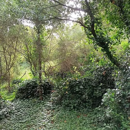 Σπίτι διακοπών Quinta Do Castelo, Madeira *