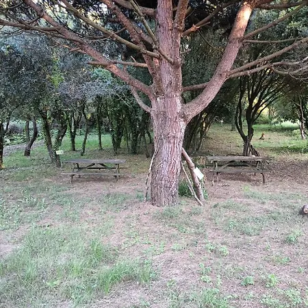 Σπίτι διακοπών Quinta Do Castelo, Madeira *