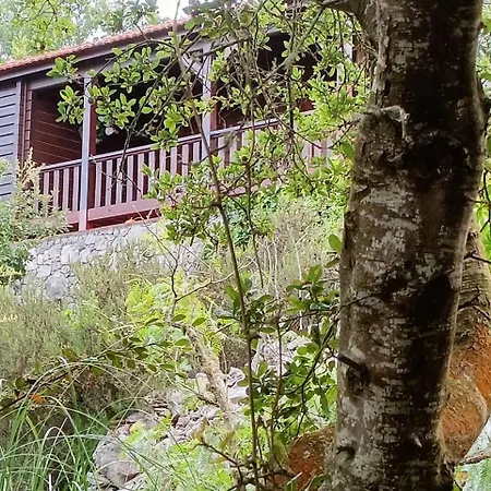 Σπίτι διακοπών Quinta Do Castelo, Madeira Olho Marinho