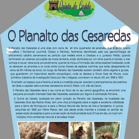 Σπίτι διακοπών Quinta Do Castelo, Madeira