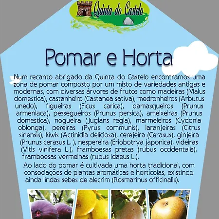 Σπίτι διακοπών Quinta Do Castelo, Madeira *